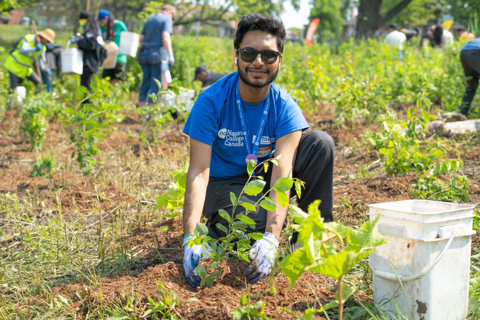 A person in sunglasses and a blue shirt is crouching and planting a young tree in a grassy area. A white bucket sits nearby.