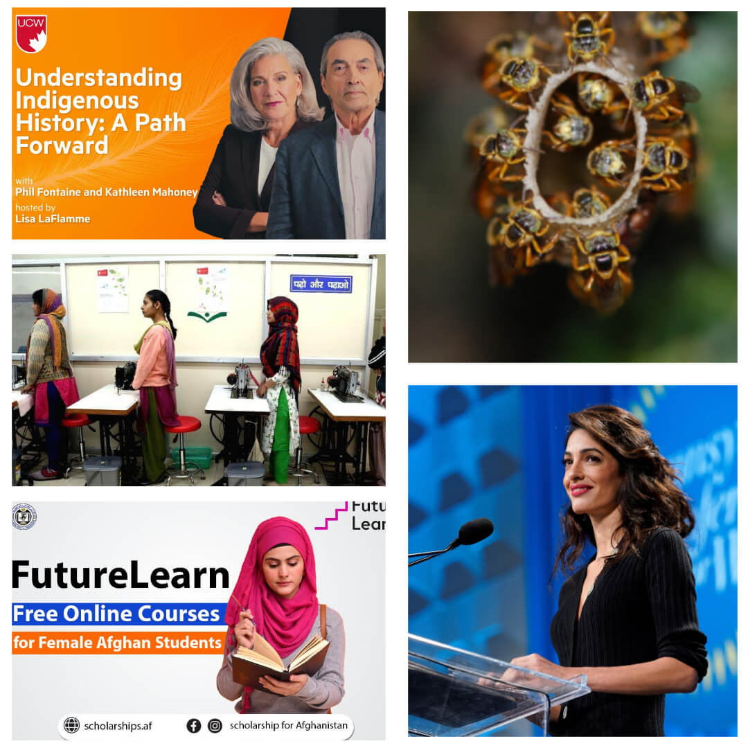 Collage featuring five sustainability initiatives