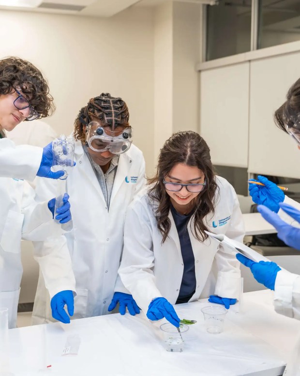 Four students in lab coats and safety goggles conducting a science experiment together in a laboratory.
